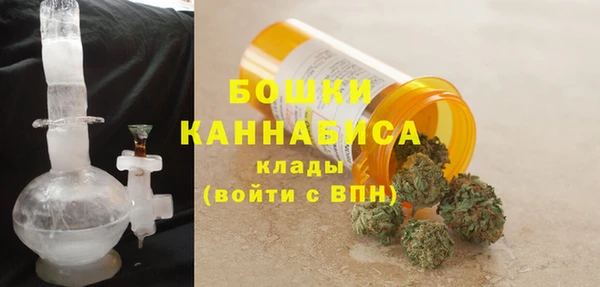 эйфоретик Арсеньев