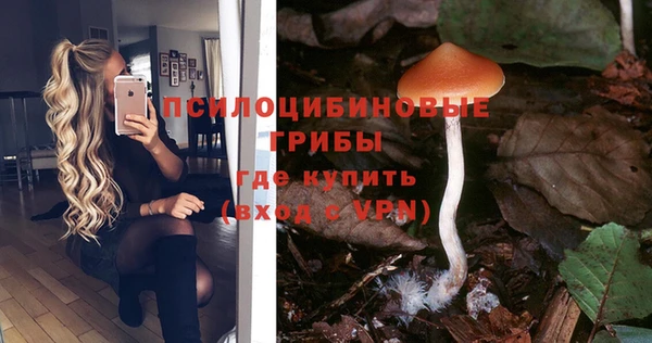 кокс Абаза